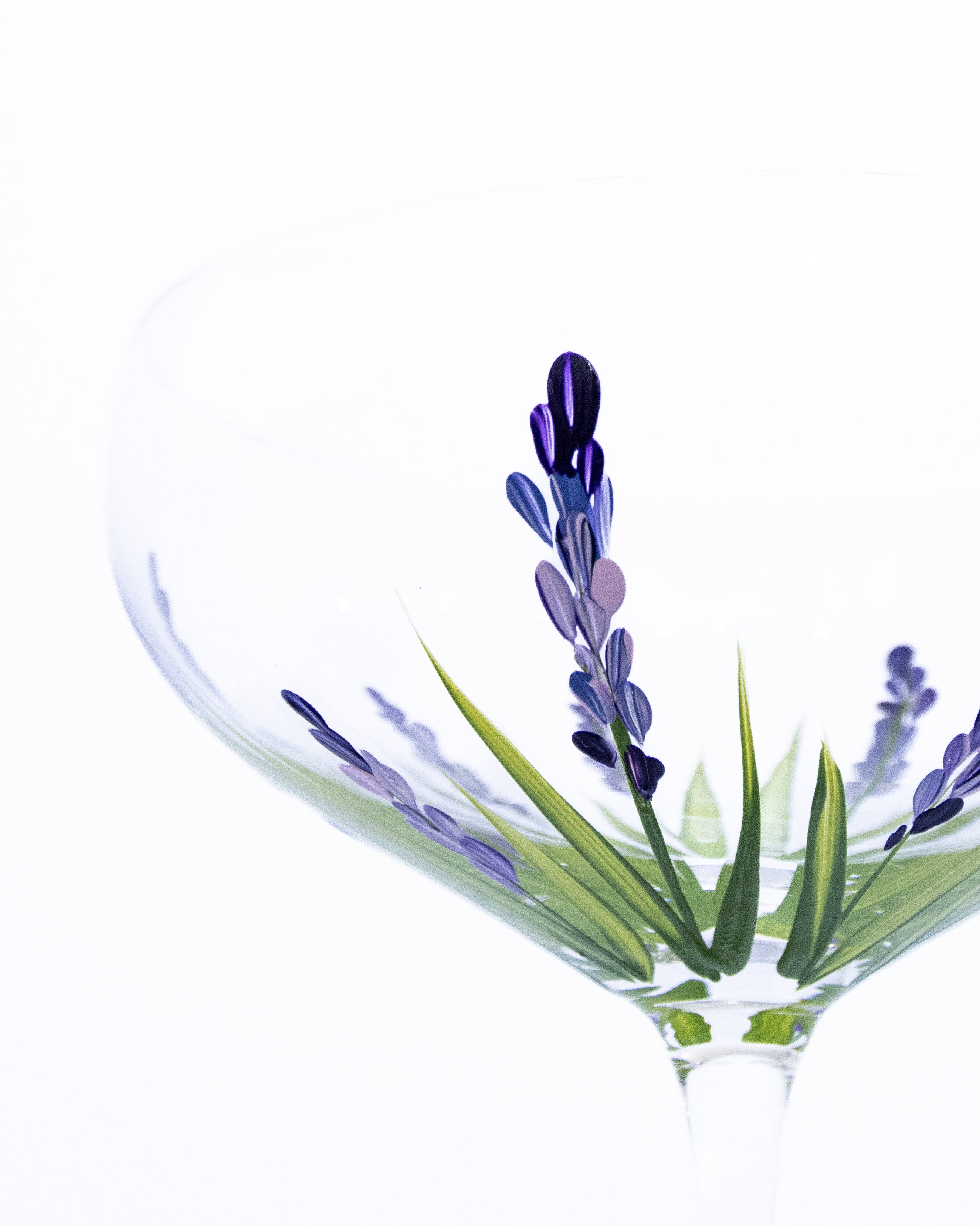 Kit Duas Taças De Espumante Lavanda