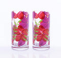 Kit Dois Copos Hibisco