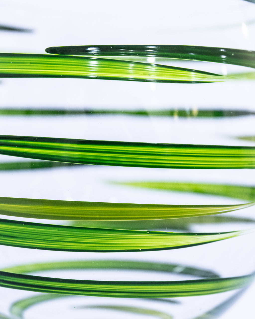 Kit Duas Taças de Gin Listras Verde