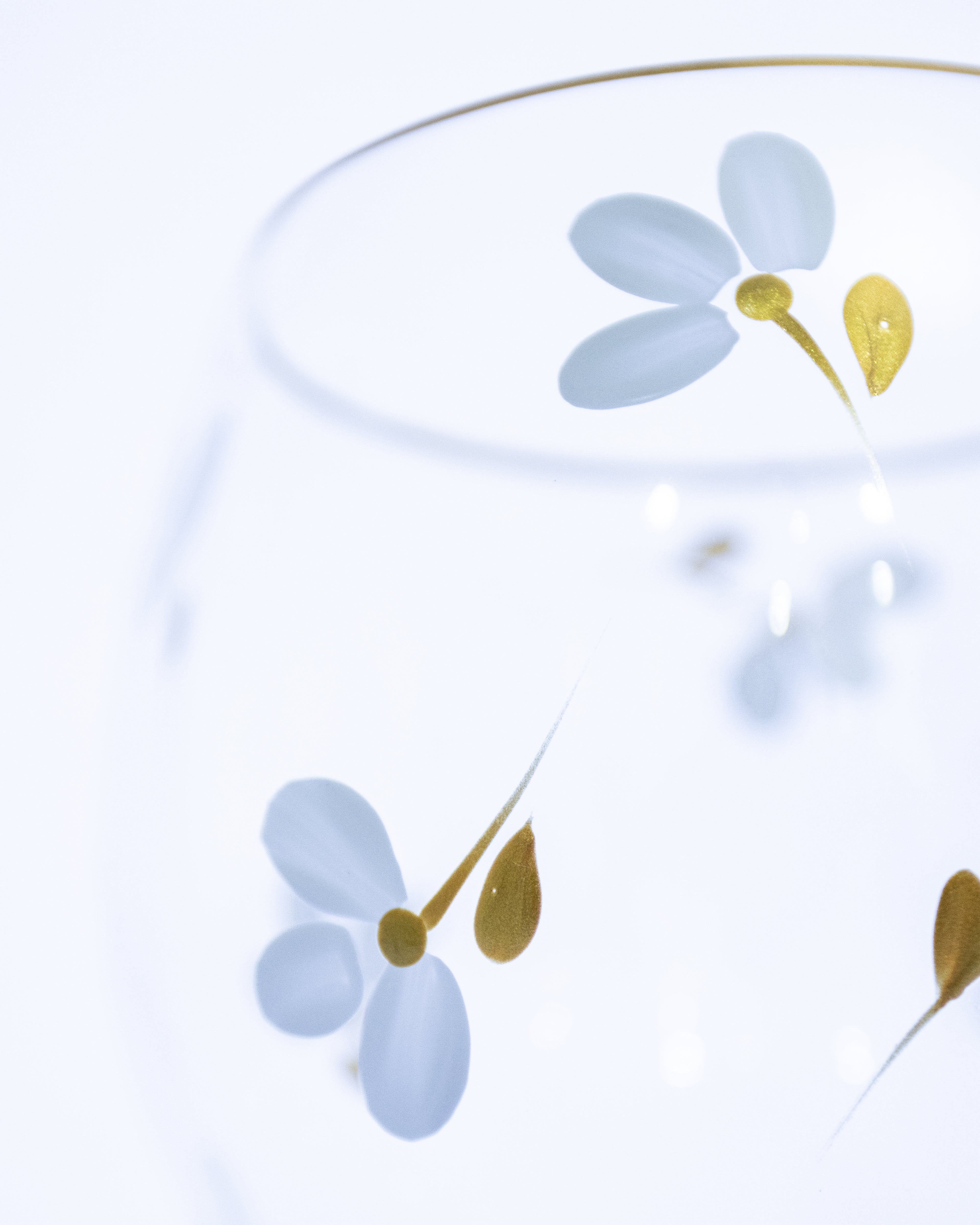 Kit Duas Taças de Gin Flores ao Vento