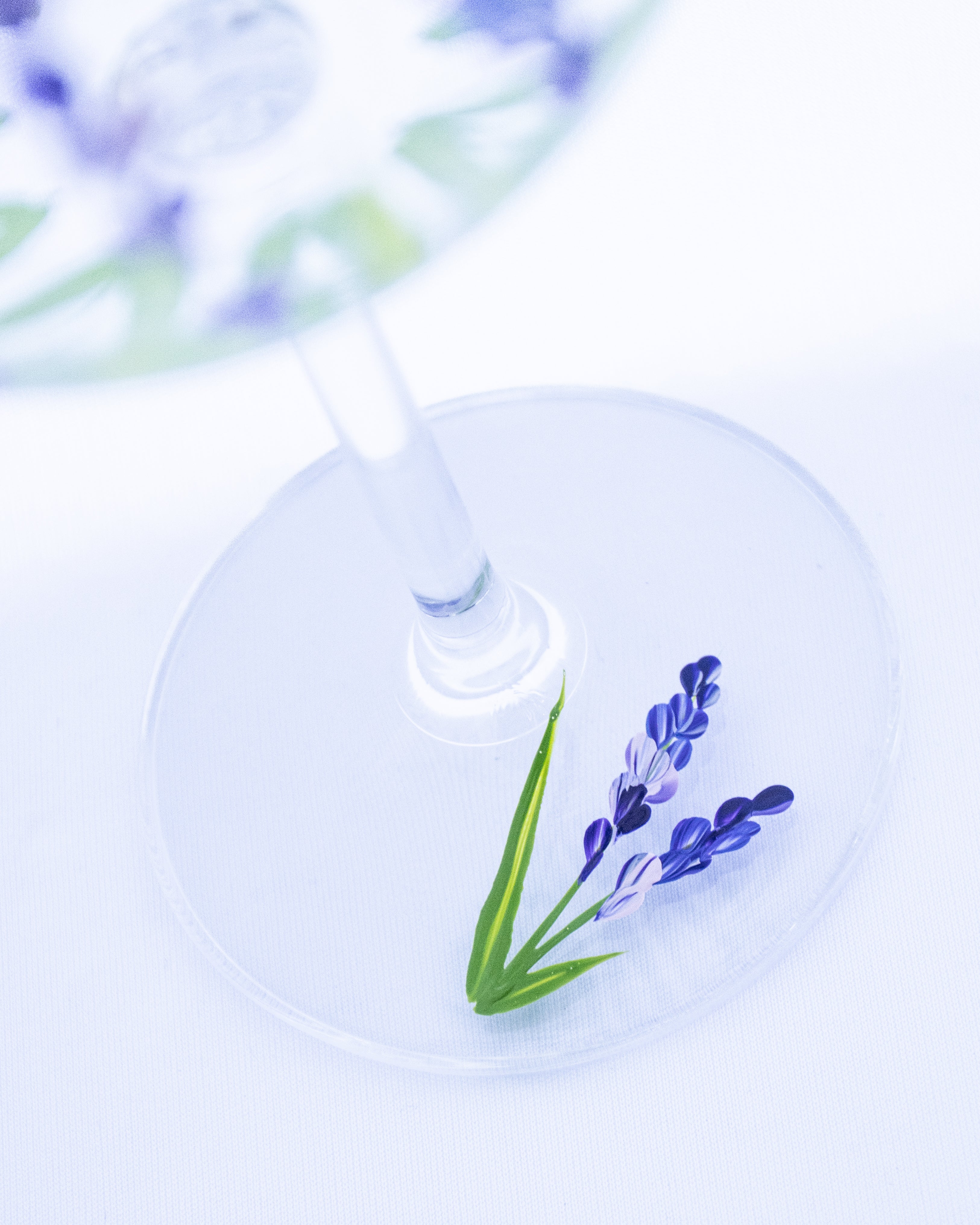 Kit Duas Taças de Gin Lavanda