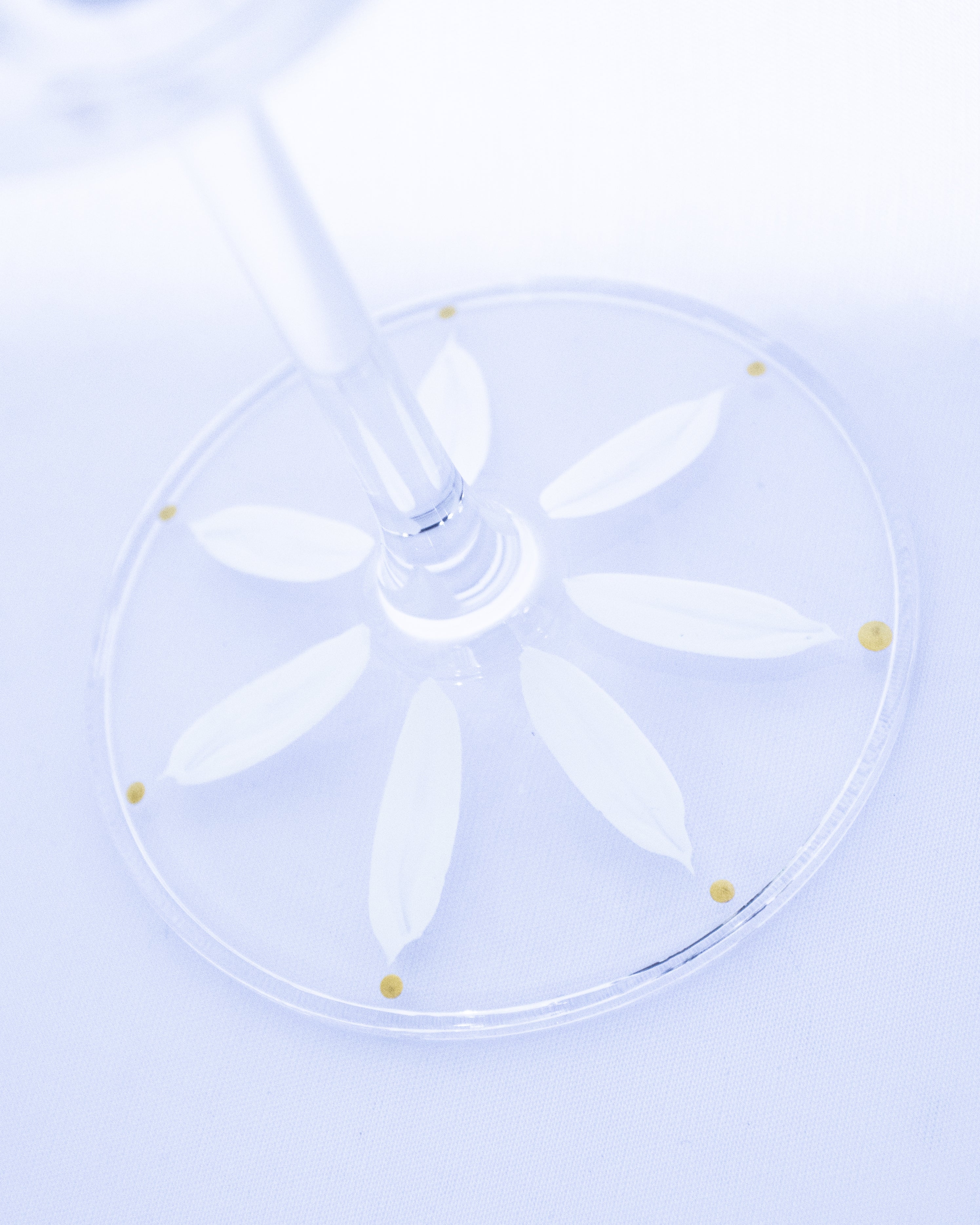 Kit Duas Taças de Vinho Plumas Branco