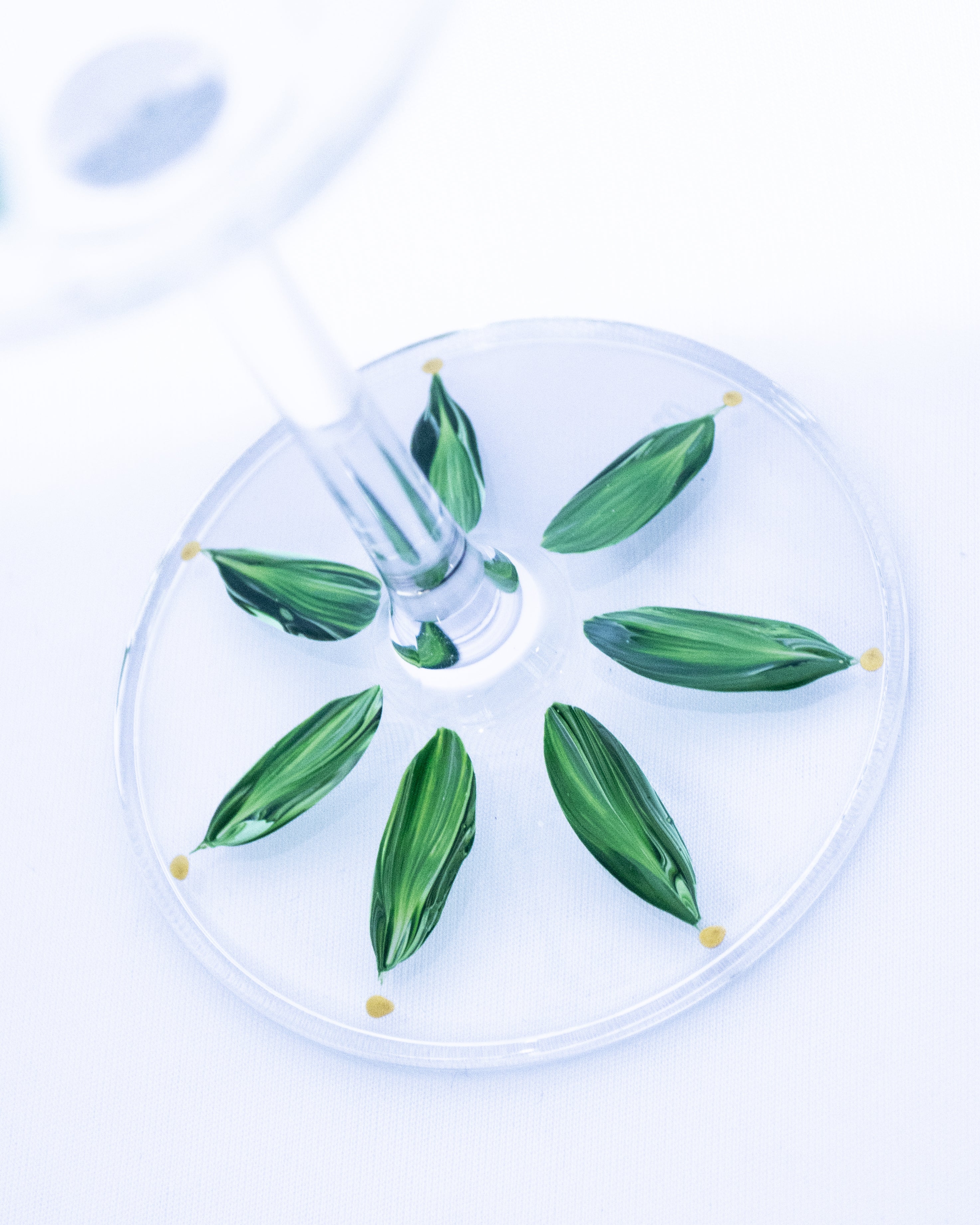 Kit Duas Taças de Vinho Plumas Verde