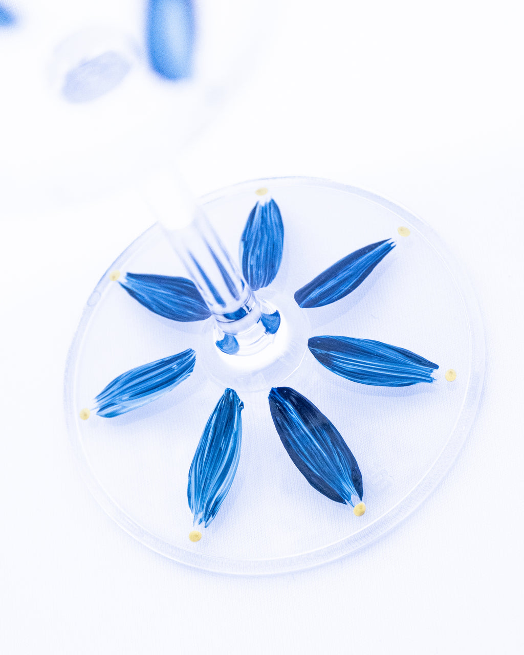 Kit Duas Taças de Vinho Plumas Azul