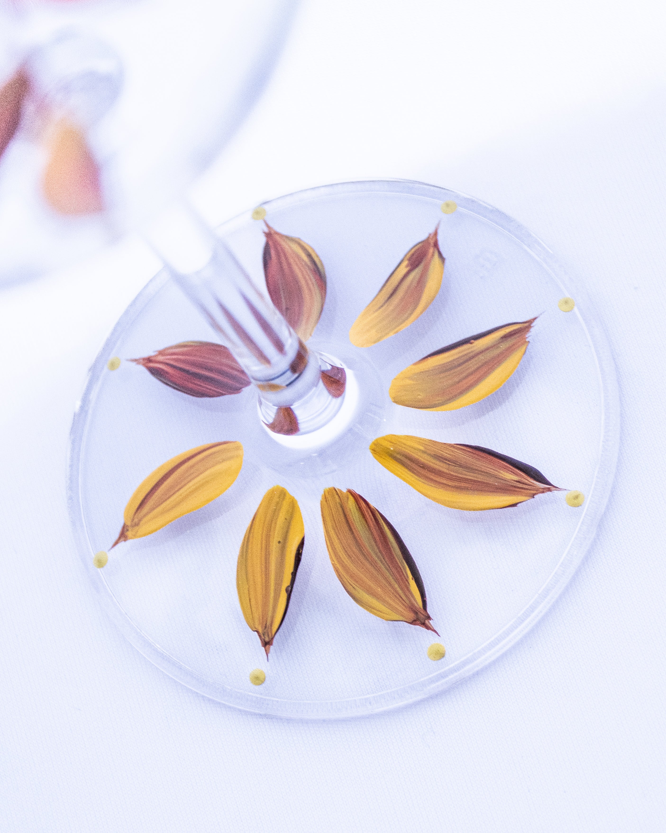Kit Duas Taças de Vinho Plumas Amarelo