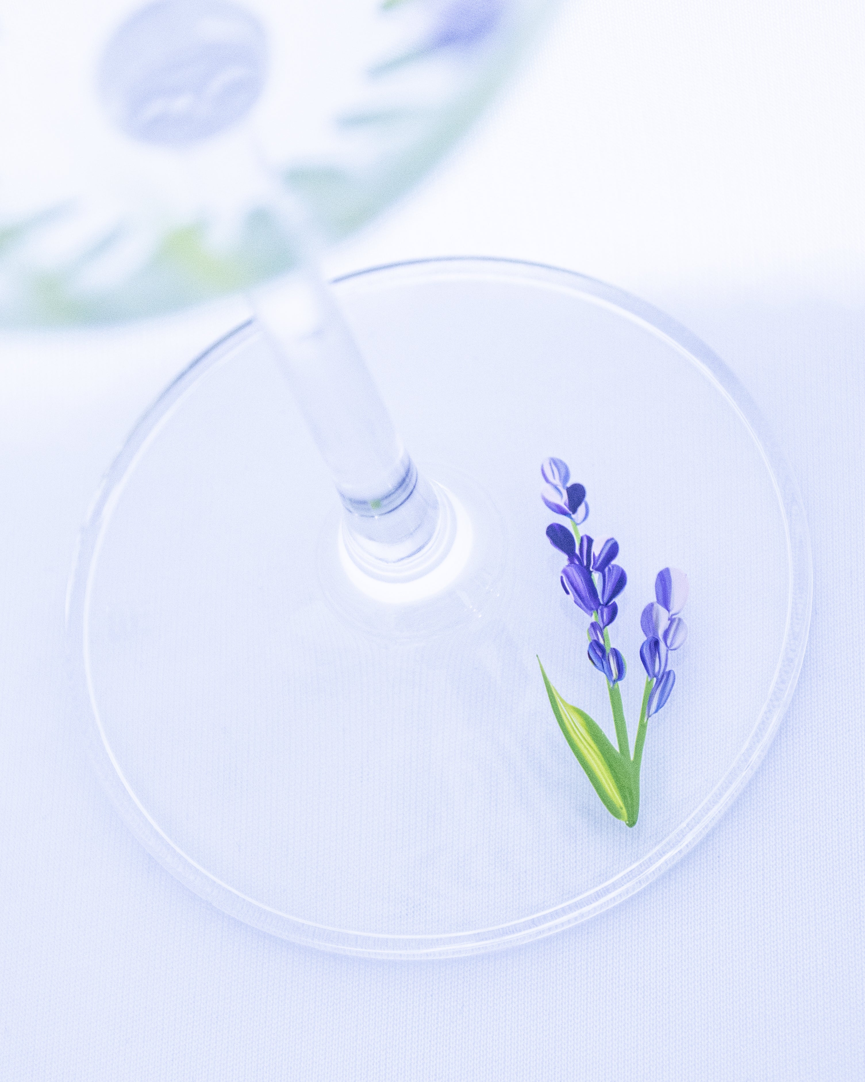 Kit Duas Taças de Vinho Lavanda
