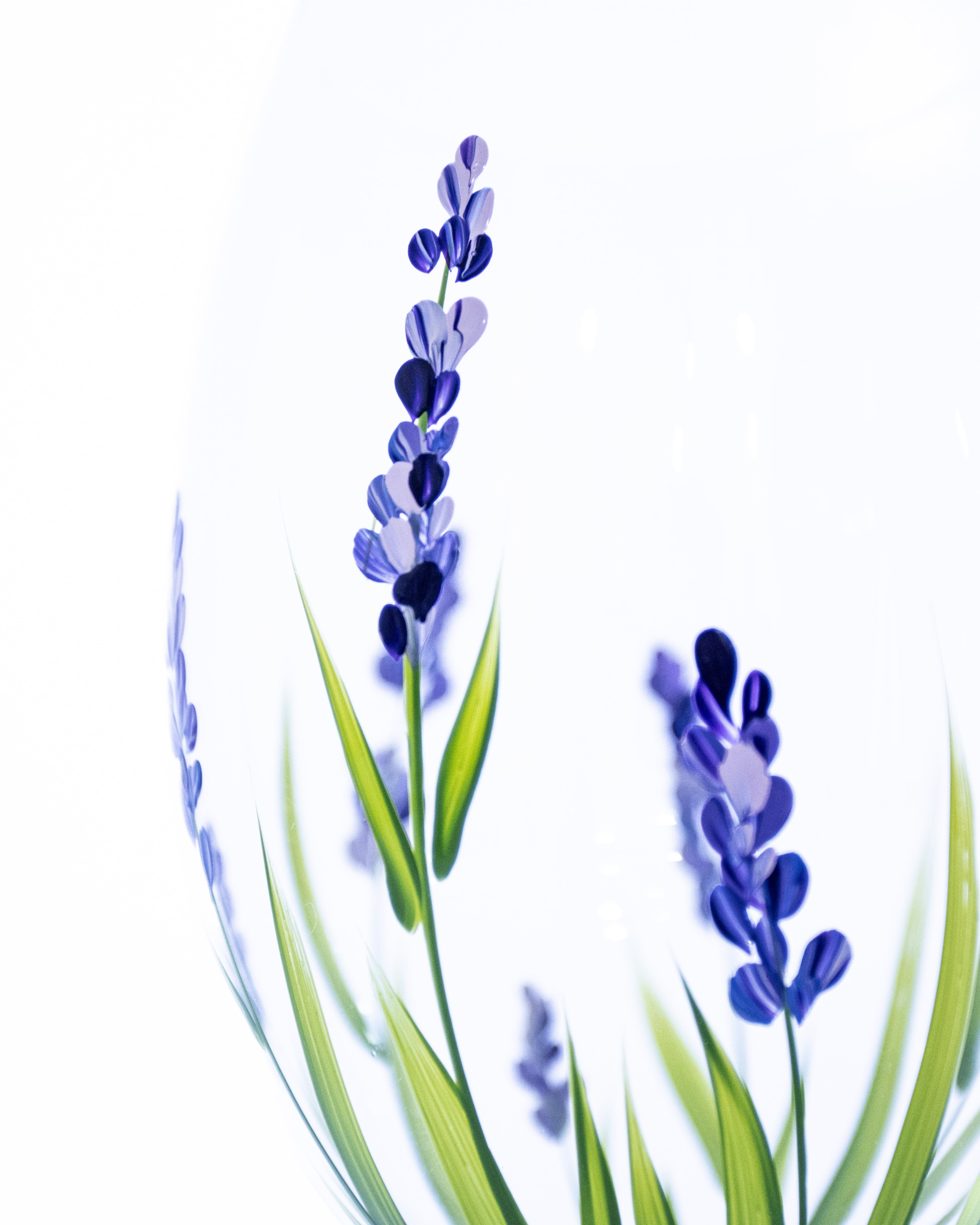 Kit Duas Taças de Vinho Lavanda