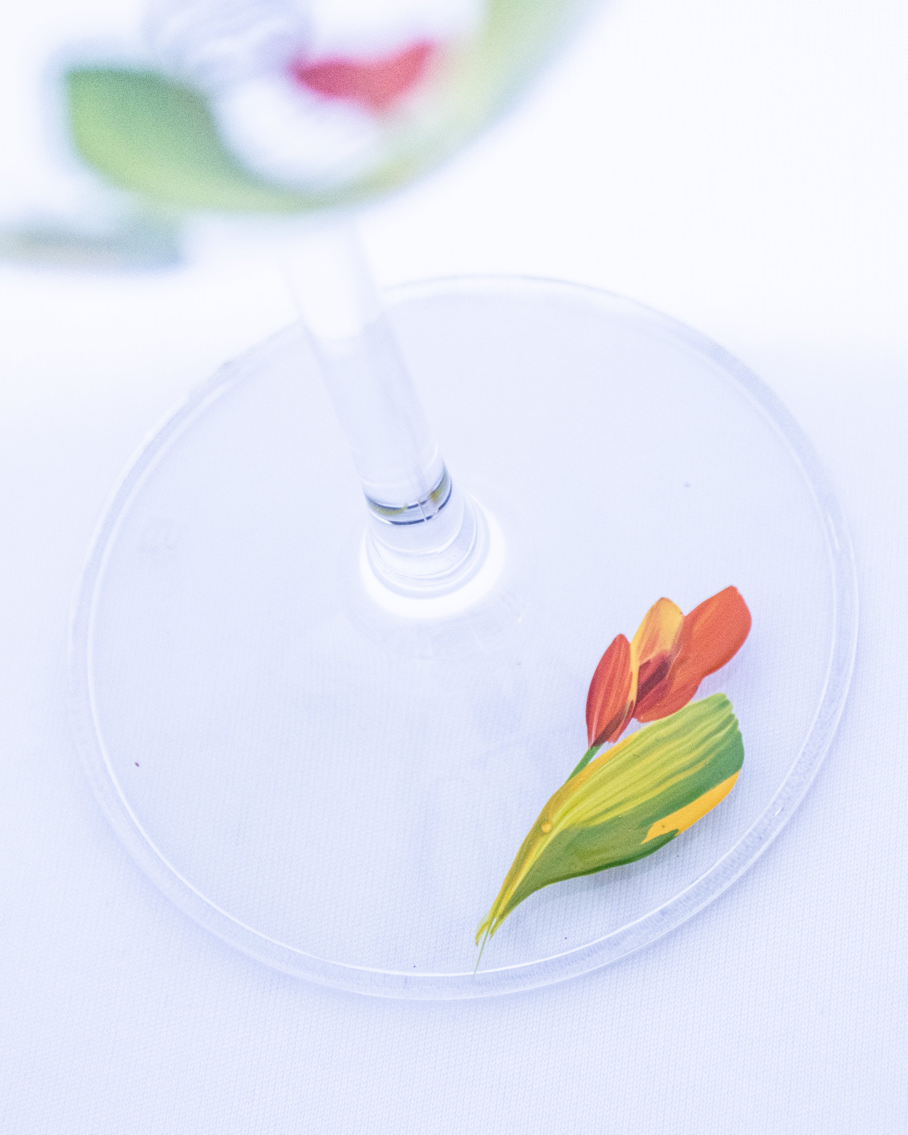 Kit Duas Taças de Vinho Bromélia