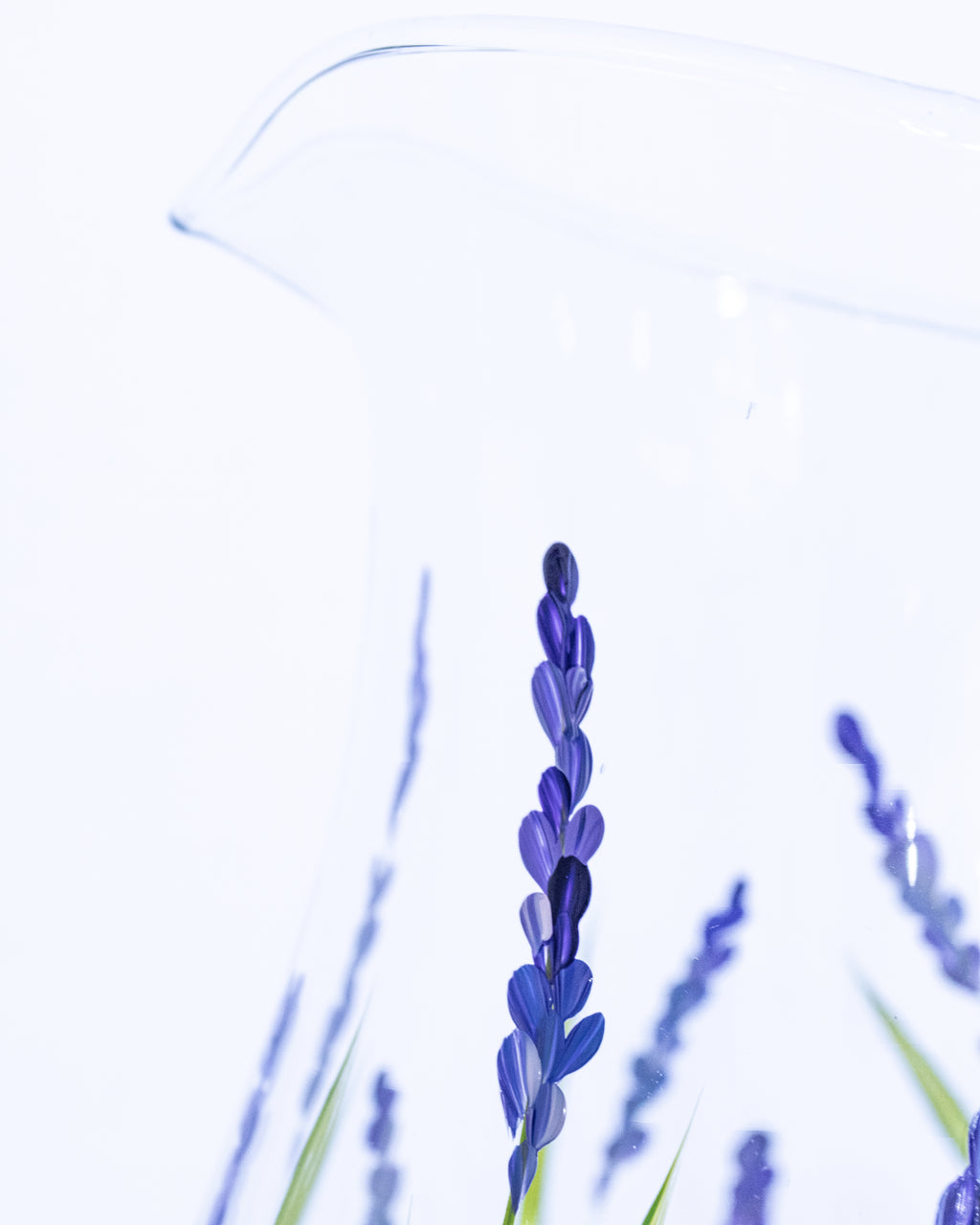 Jarra de Vidro Lavanda